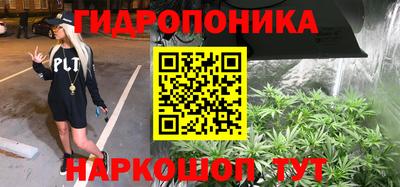 стафф Анжеро-Судженск