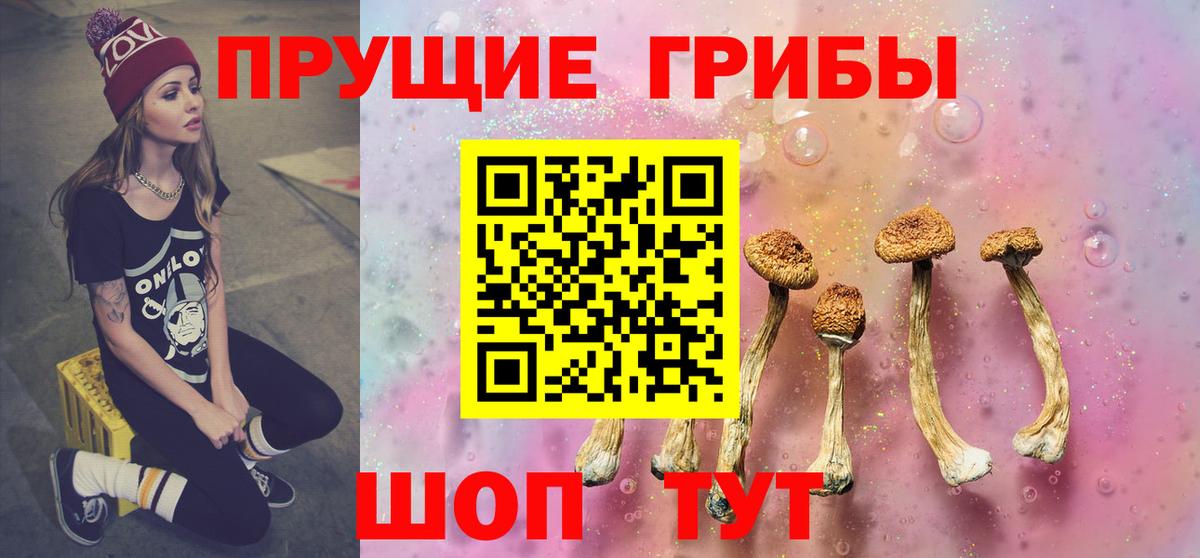 Бор  Псилоцибиновые грибы Psilocybe  Галлюциногенные грибы ЛСД  Вход с VPN 